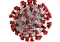 Episcopal Church Ignores Members During Pandemic
