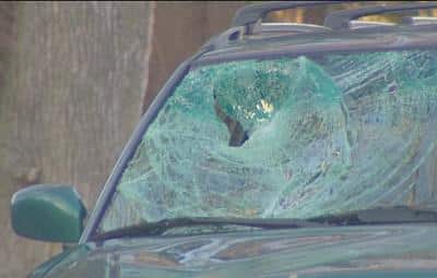 Heather Cook’s windshield after she killed Tom Palermo in a DUI