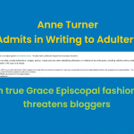 Anne Turner, adulterer and liar
