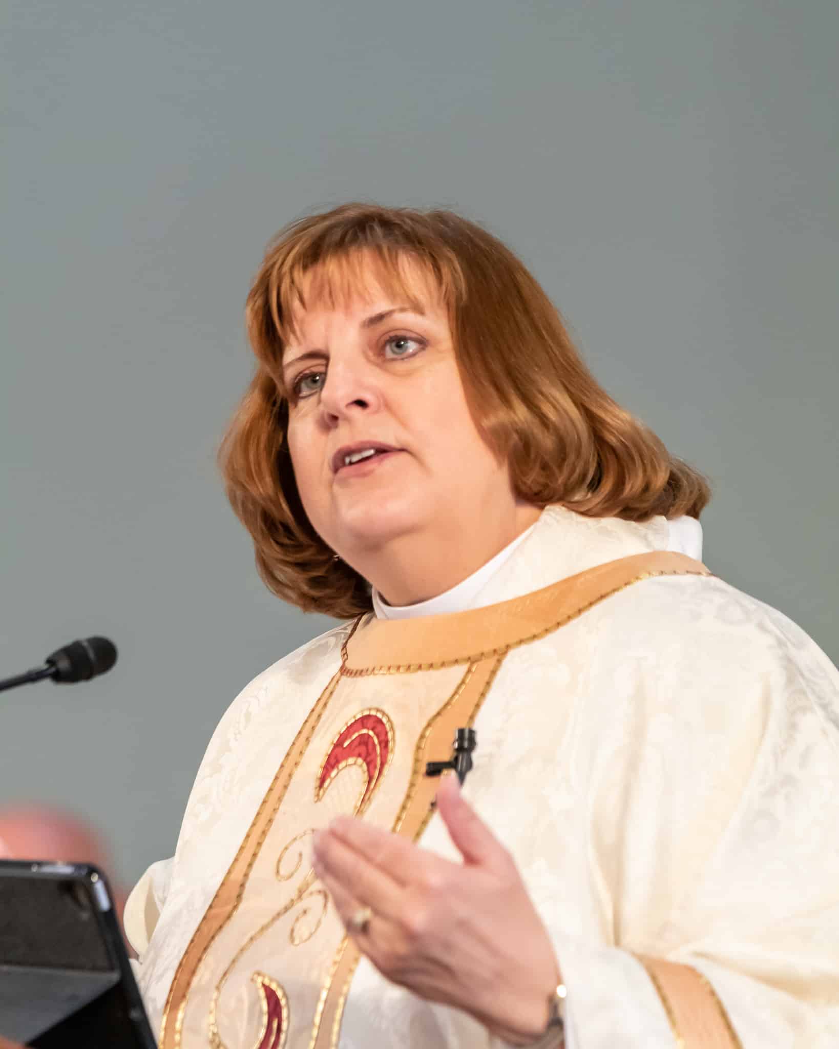 Bishop Susan Brown Snook faces Title IV complaint