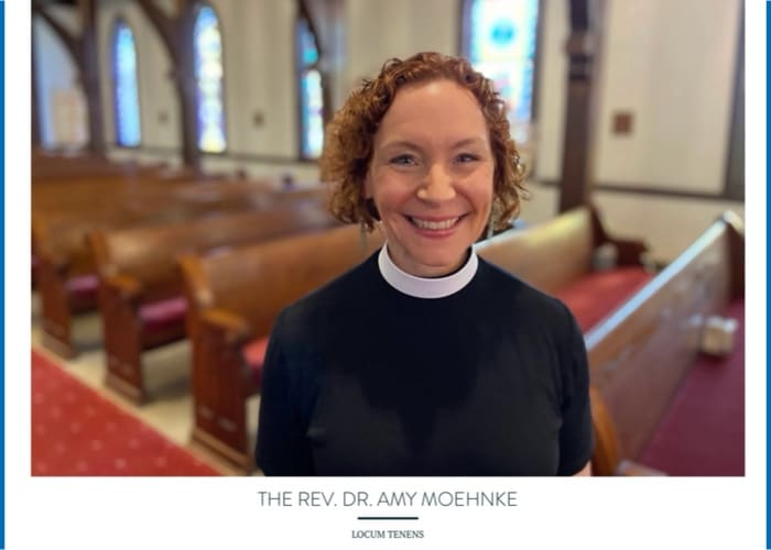 THE REV. DR. AMY MOEHNKE